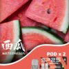 sp2s拋棄式菸彈西瓜口味
